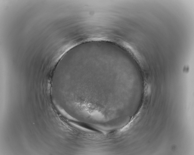 X0000094221361200711021130