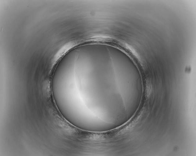 X0000094221362200711021130