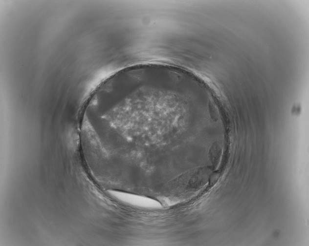 X0000094221363200711021130