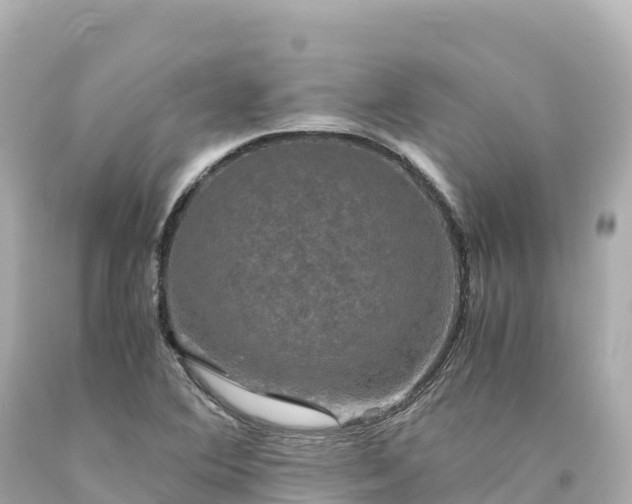 X0000094221364200711021130