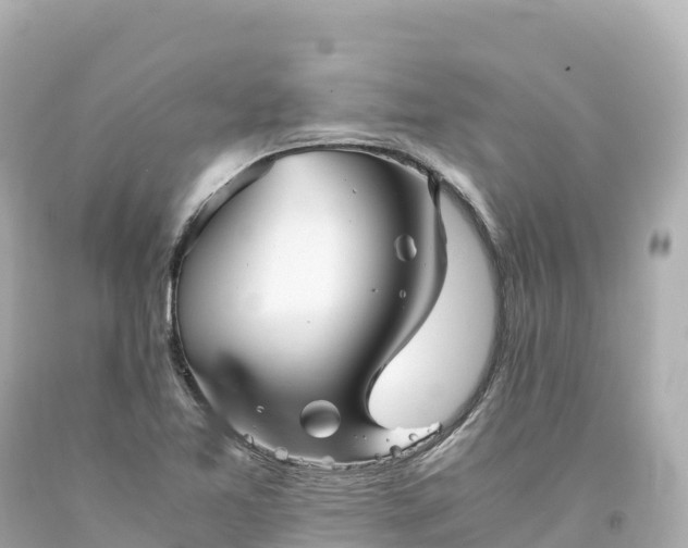 X0000094221365200711021129