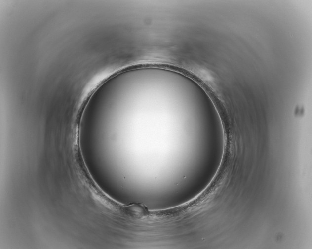 X0000094221366200711021129