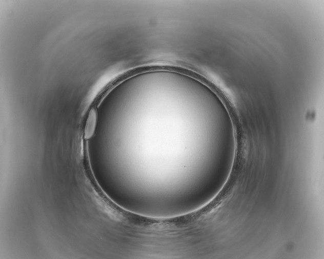 X0000094221368200711021129