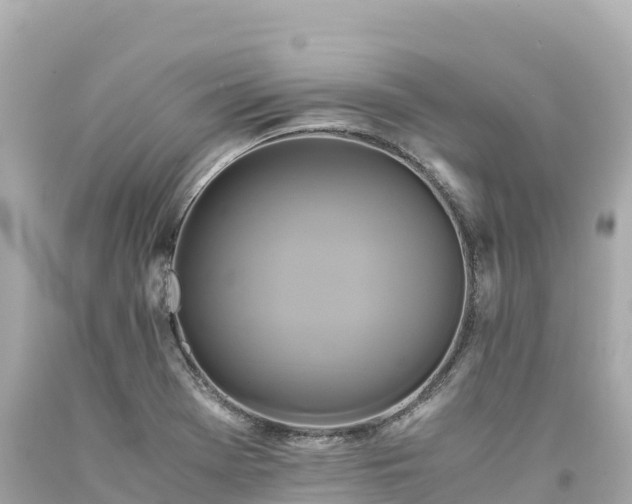 X0000094221369200711021129