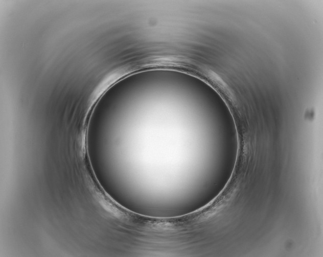 X0000094221370200711021129