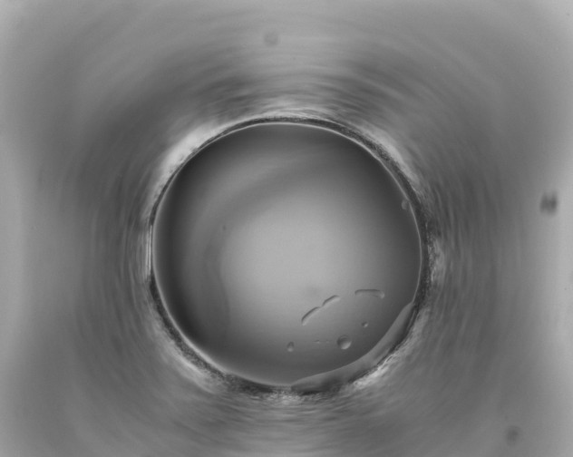 X0000094221371200711021129