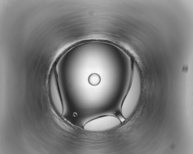 X0000094221372200711021129