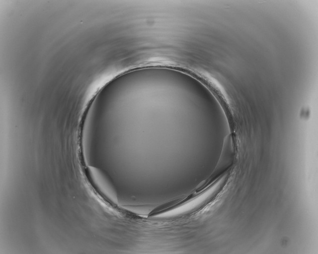 X0000094221373200711021129