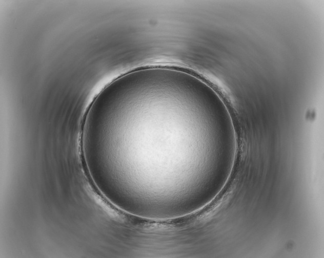 X0000094221374200711021129