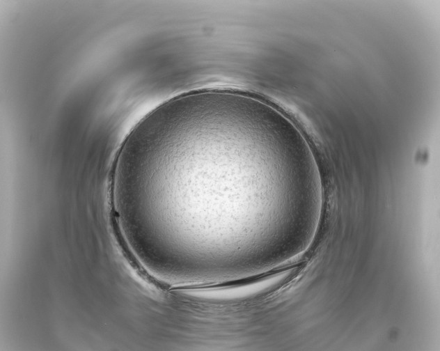 X0000094221375200711021129