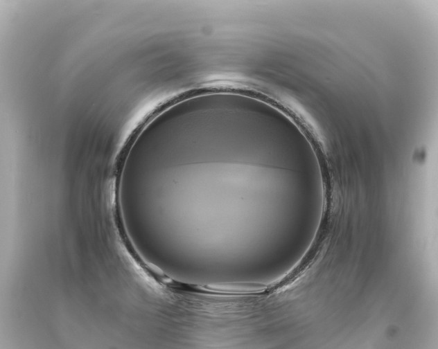 X0000094221376200711021129