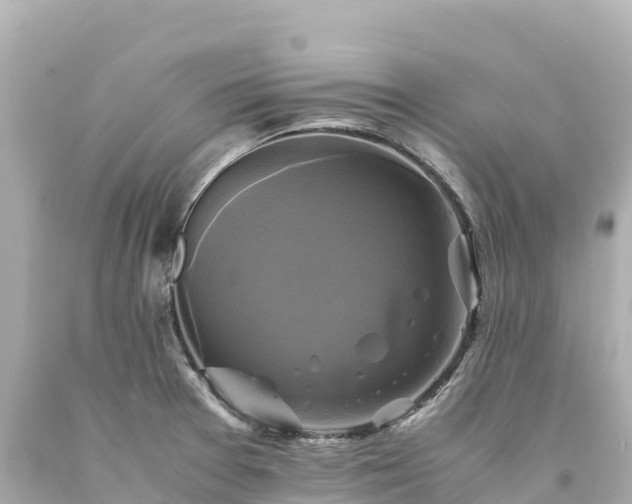 X0000094221377200711021129