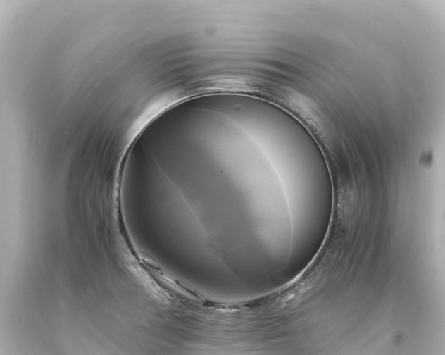 X0000094221378200711021129