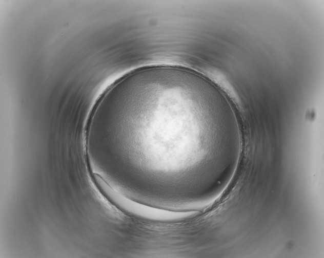 X0000094221380200711021129