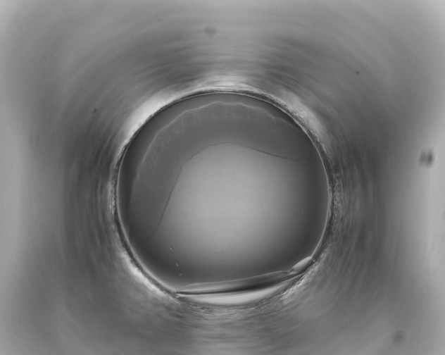 X0000094221382200711021129