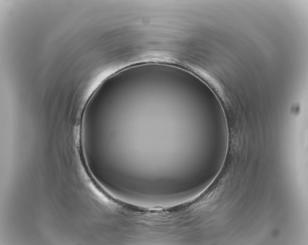 X0000094221383200711021129