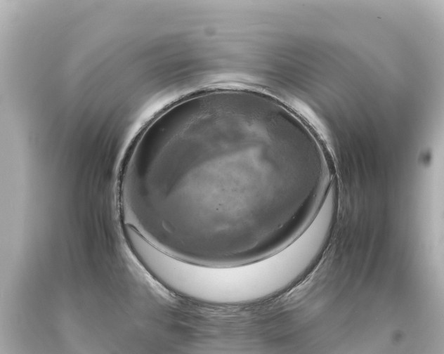 X0000094221384200711021129