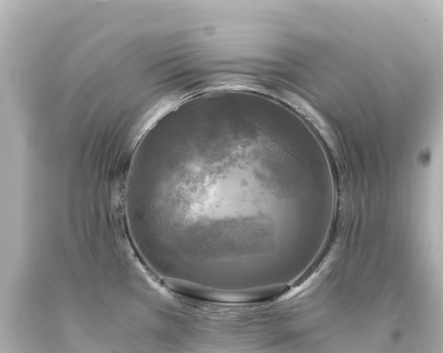 X0000094221385200711021129