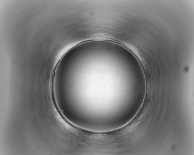 X0000094221387200711021129