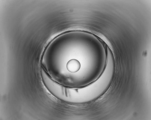 X0000094221388200711021129