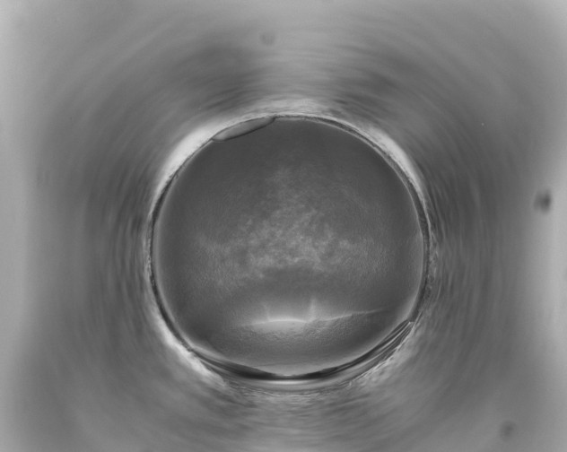 X0000094221389200711021129