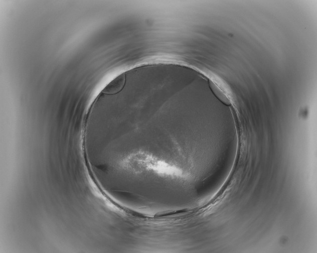 X0000094221390200711021129