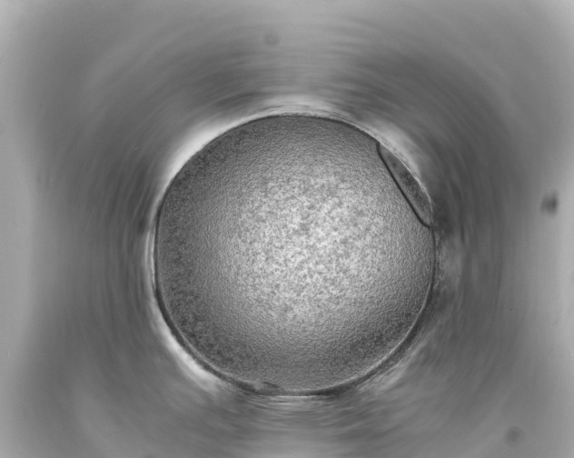 X0000094221391200711021129