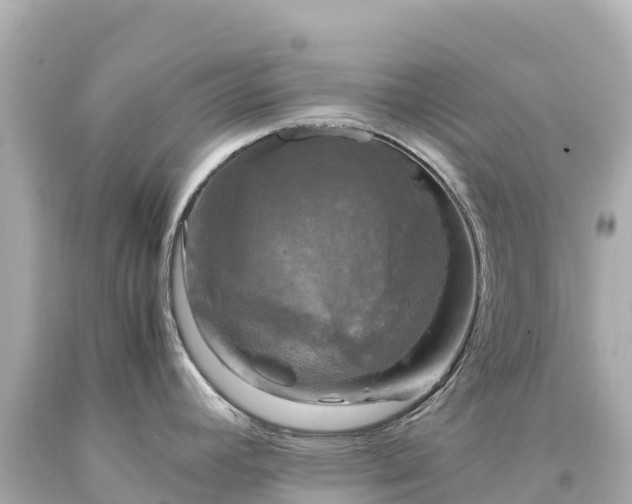 X0000094221392200711021129