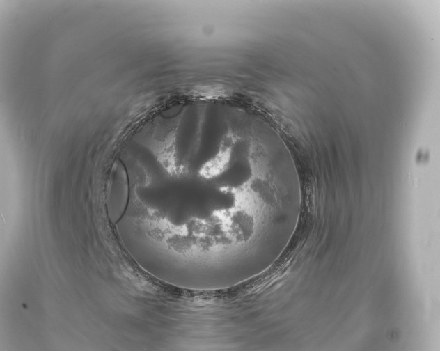 X0000094221393200711021128