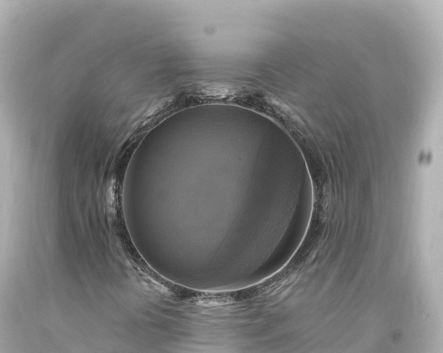 X0000094221394200711021128