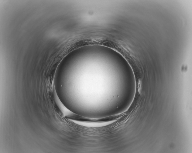 X0000094221395200711021128