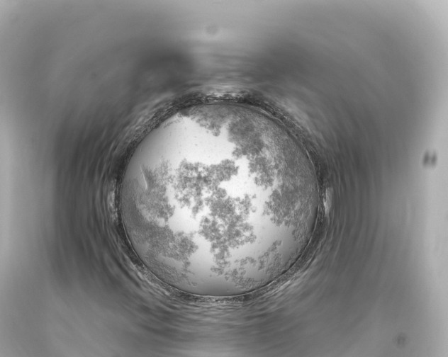 X0000094221396200711021128