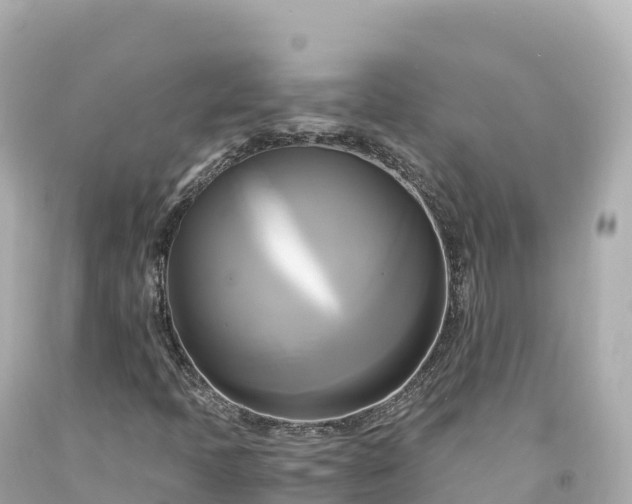 X0000094221397200711021128