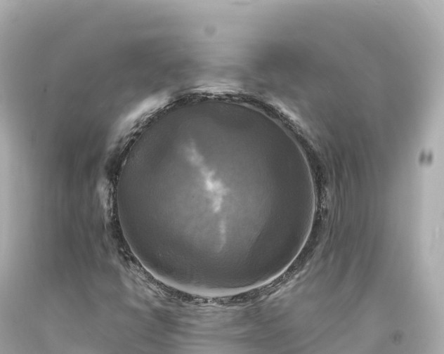 X0000094221398200711021128