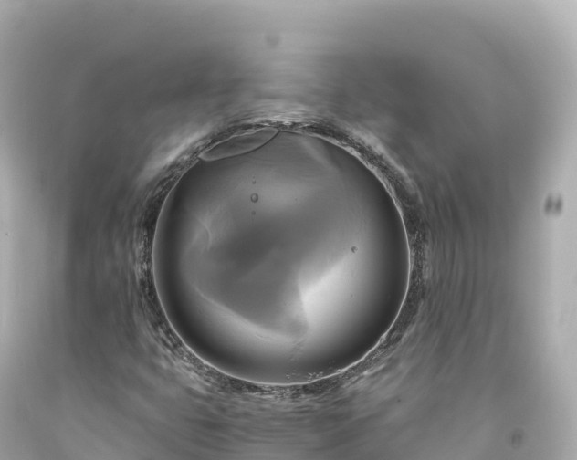 X0000094221399200711021128