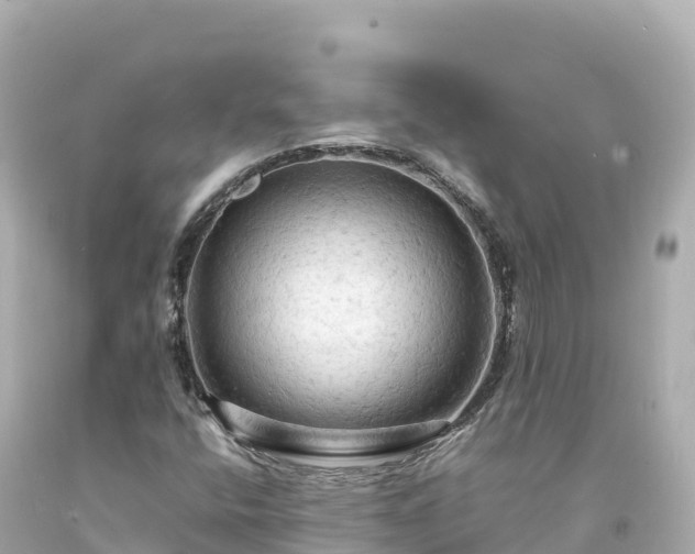 X0000094221400200711021128