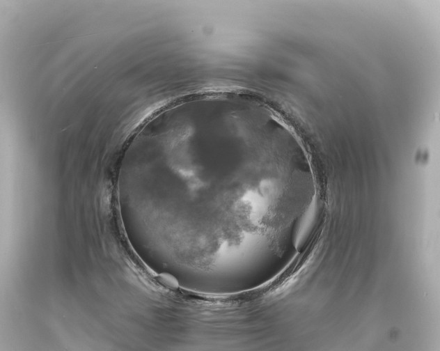 X0000094221401200711021128