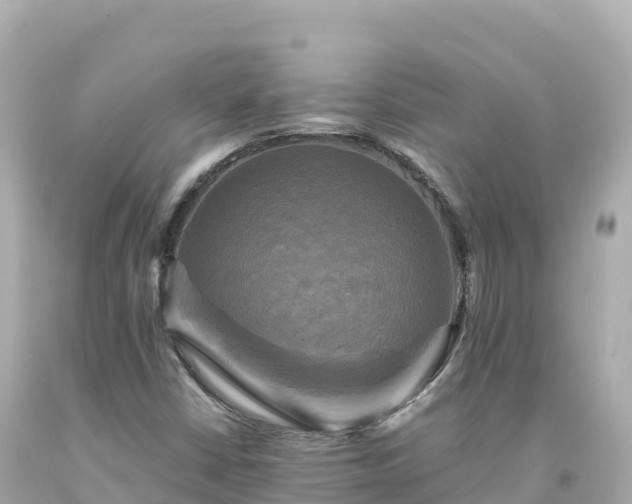 X0000094221402200711021128