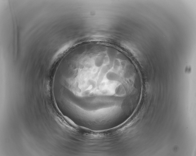 X0000094221403200711021128