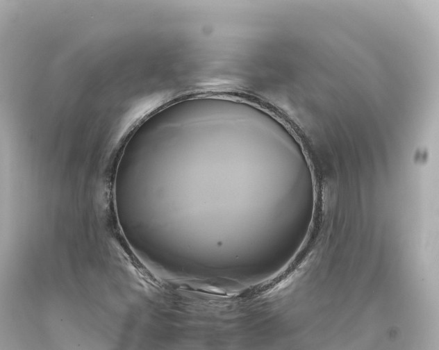 X0000094221405200711021128