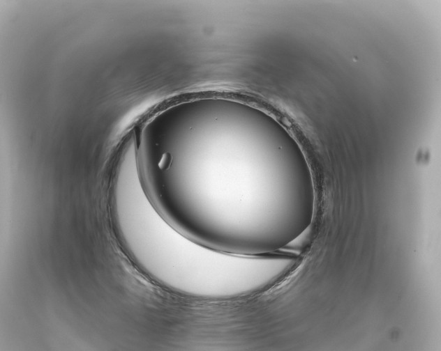 X0000094221406200711021128