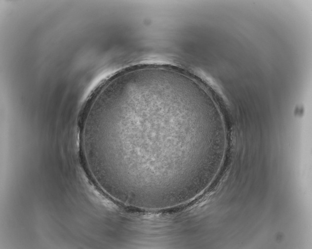 X0000094221408200711021128