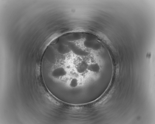 X0000094221409200711021129