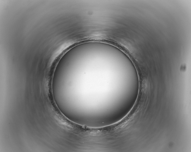 X0000094221410200711021129