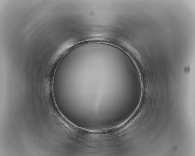 X0000094221411200711021129