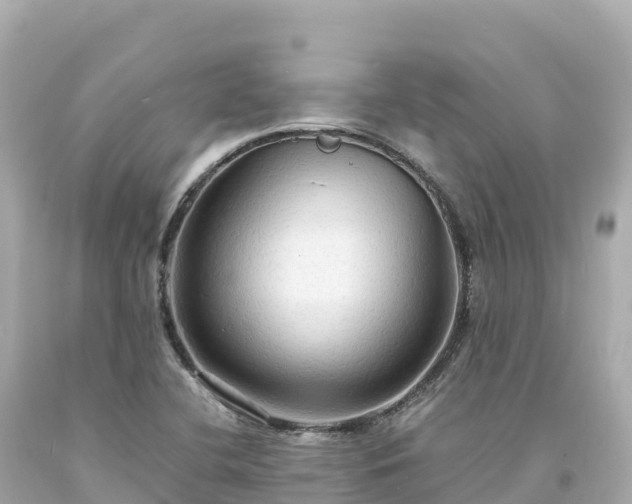 X0000094221412200711021129