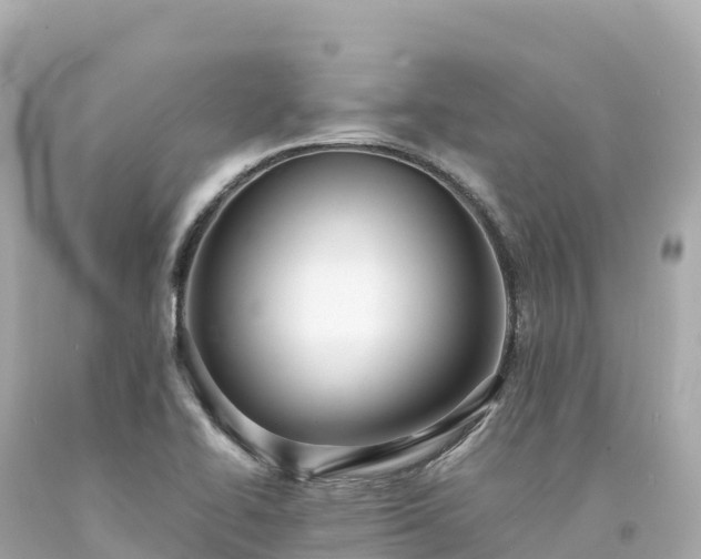 X0000094221414200711021129