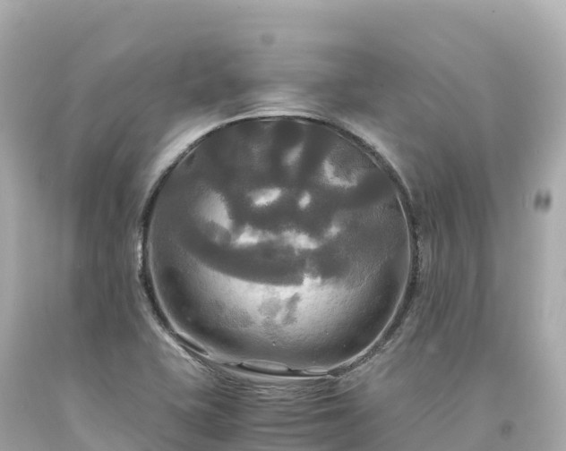 X0000094221415200711021129