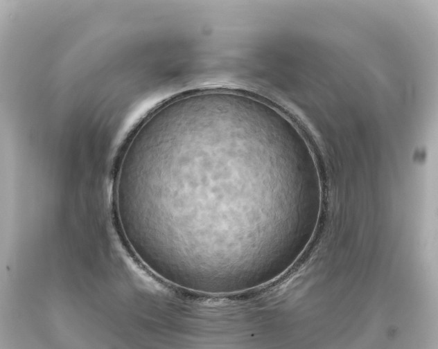 X0000094221416200711021129