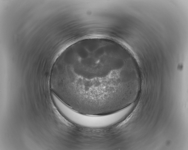 X0000094221417200711021129